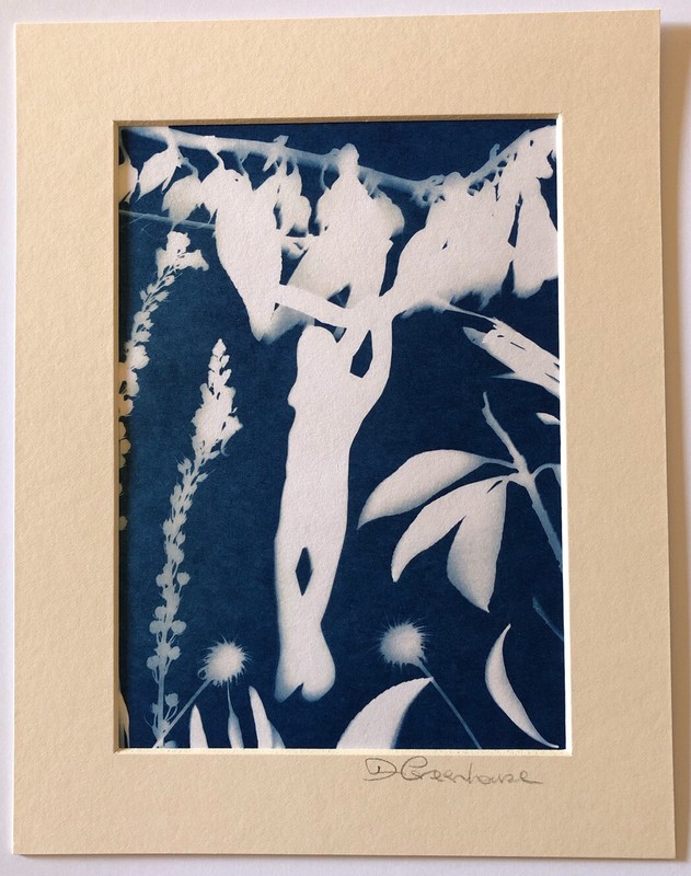Girl Swings From Tree, Summer’s Day, Solar art, Silhouette Original
