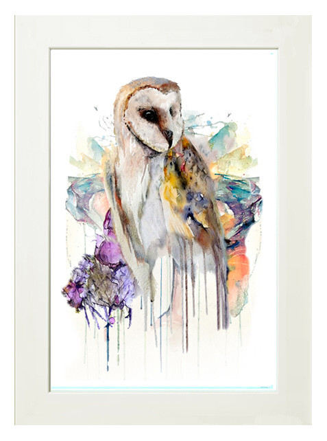 Owl (Strigi Formes) Limited Edition mounted giclée print 14x11in (35.5x28cm)
