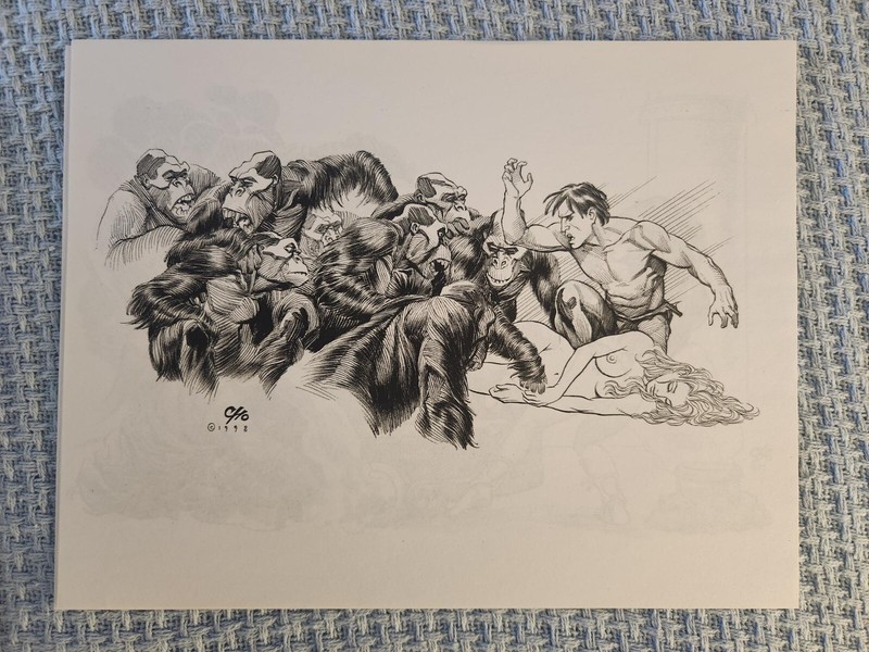 Frank Cho-Pen and Ink 8.5 x 11-inch art print-Excellent Condition-Very Nice!