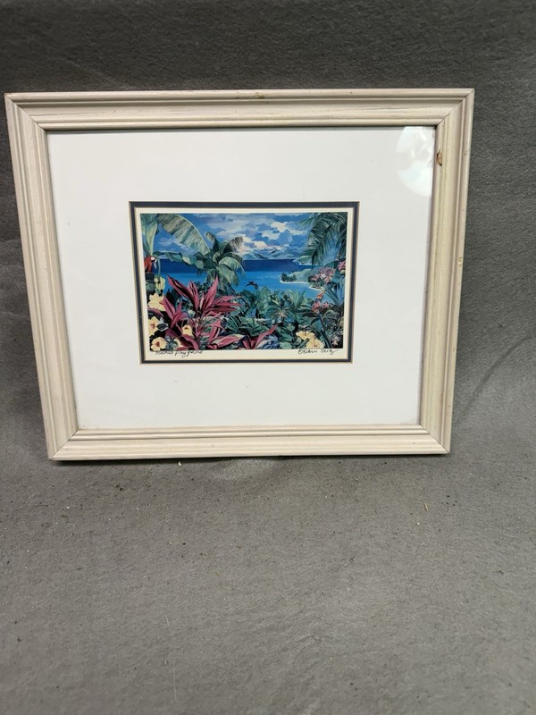 VTG 6 3/4″ X 4″ PRINT «MACAWS PLAYGROUND» EILEEN SEITS MATTED, FRAMED & SIGNED