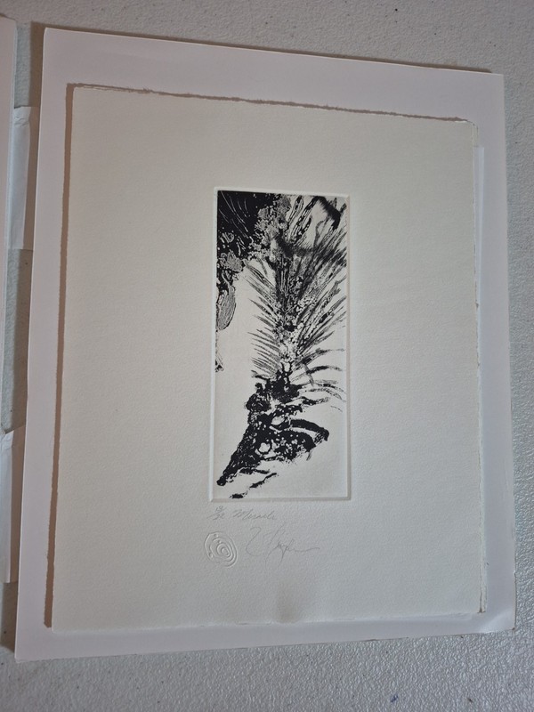 Frank Boyden – «Miracle» /22 Print – Signed