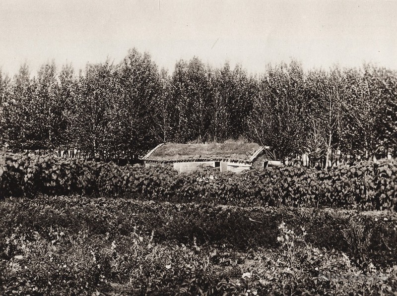1925 Vintage Print CANADA ~ Pioneer House Earl Saskatchewan Landscape Photo Art