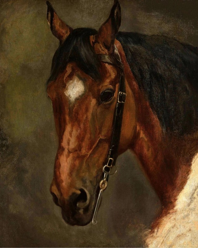 1800s Horse’s Head Study Vintage painting poster print Home Decor