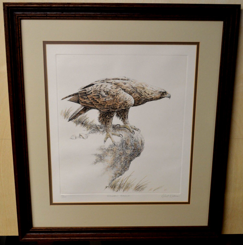 Golden Eagle Embossed Watercolor Print, Limited Edition Print, Artist Unknow