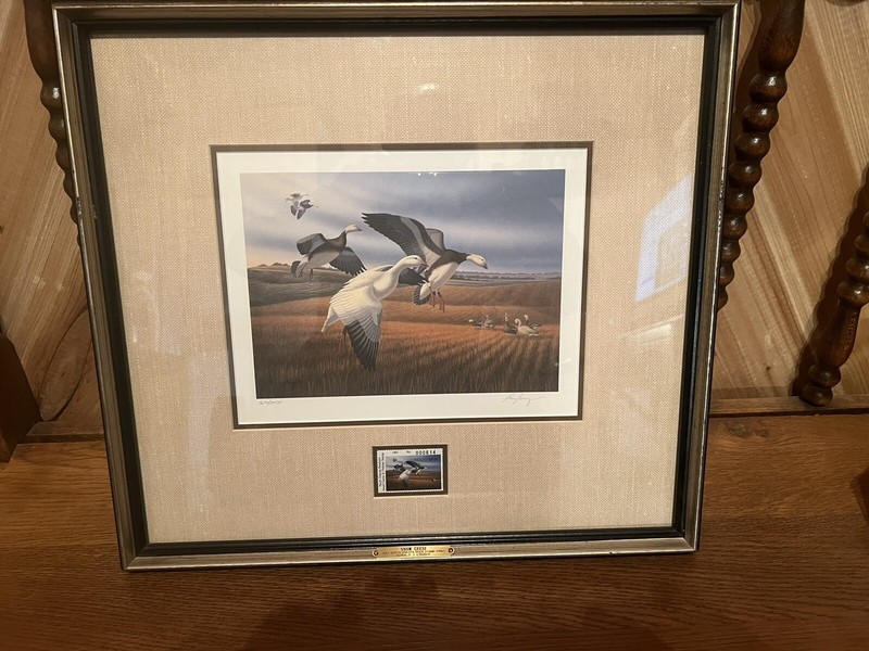 Framed 1987 North Dakota Duck Stamp Print, Stamp, Ronald Louque, #614/3438