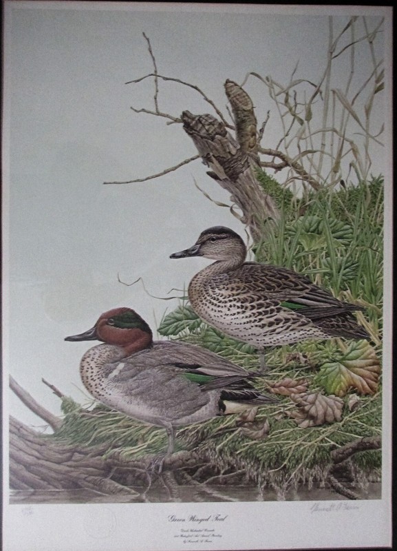 KENNETH A. FERRIS LITHOGRAPH S/N GREEN WINGED TEAL DUCK 1984 WATERFORD ART AWARD gallery