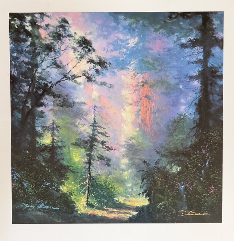 James Coleman MOMENT OF PEACE Hand Signed Limited Edition Lithograph Art gallery