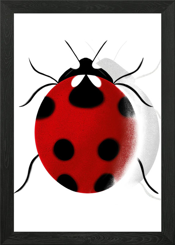 RED AND BLACK BEETLE Framed Wall Art Poster Canvas Print Picture