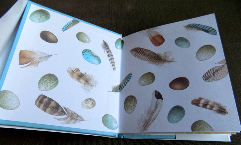Birds From My Window by Marjolein Bastin Hardcover Dust Jacket Hallmark 1994 gallery