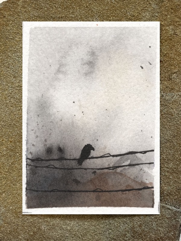 ACEO Original Watercolor Ink Crow Raven Bird on Wire Moody Atmospheric Dark Land gallery