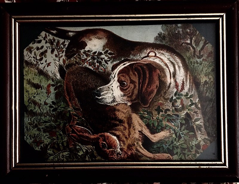 Print Hunting Dog With Rabbit Taken From Alden Fruit Vinegar Trading Card Framed