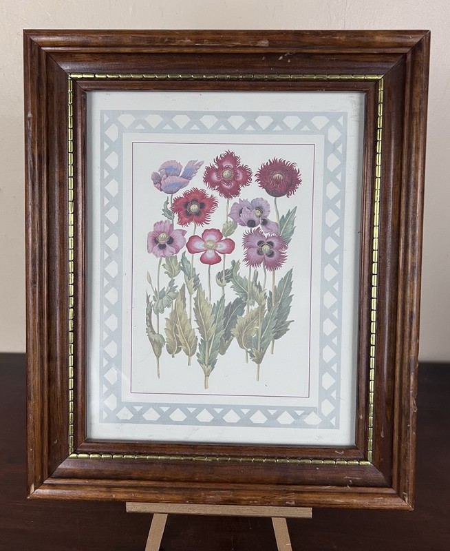 VTG Mid Century Poppies Floral Art Print Solid Wood Frame 12 5/8" Cottage Core