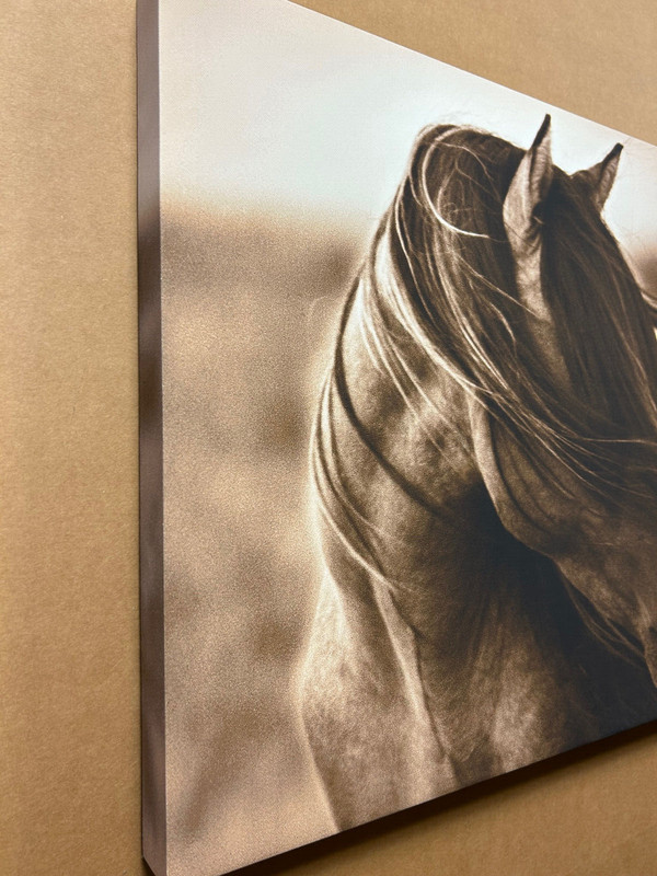 Fierce Grace by Tony Stromberg Stretched Canvas Art Horse Western Decor 18x24 gallery