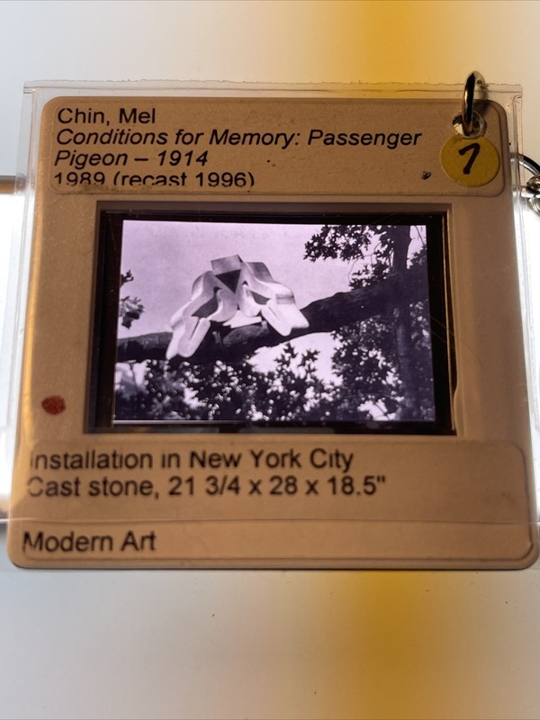 Mel Chin «Passenger Pigeon» Contemporary Conceptual Art 35mm Slide KEYCHAIN 858