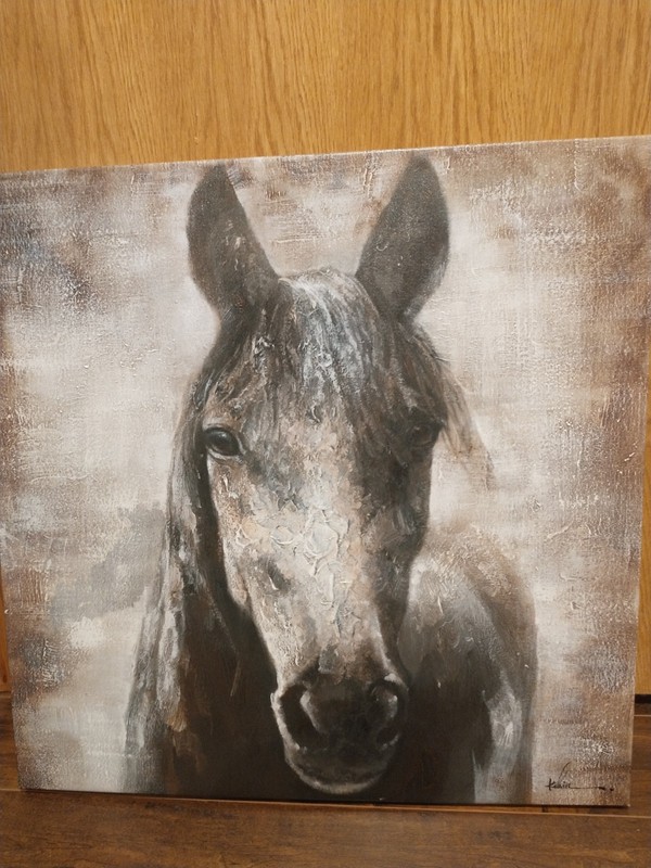 Kevin Murphy Winter Stallion’s Giclée High Qualty Canvas Equestrian Art 28x28in