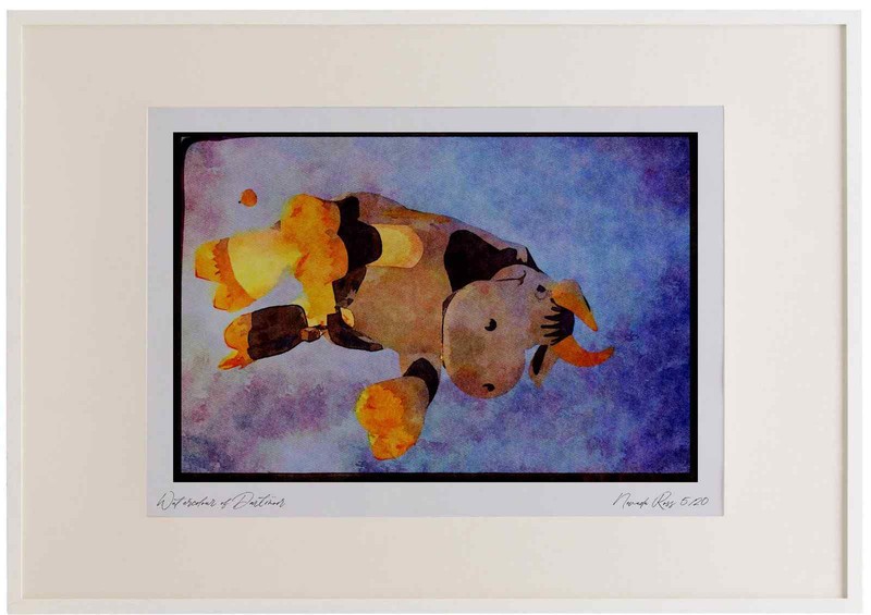 528091 Cow Balloon In Flight Watercolour Picture Frame Ltd Ed A3