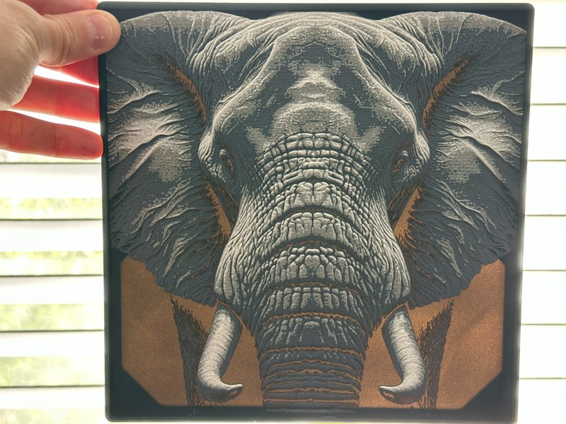 Majestic Gaze 3d Image - Up to 12 inch - Multiple Versions -Wall Hanger Included gallery