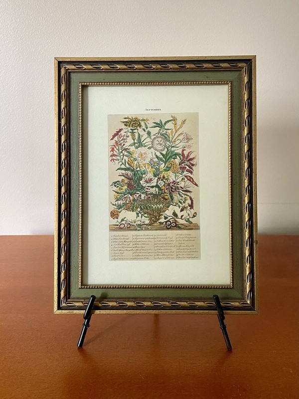Vintage Robert Furber Twelve Months of Flowers Print SEPTEMBER Framed 7.5 x 9.5