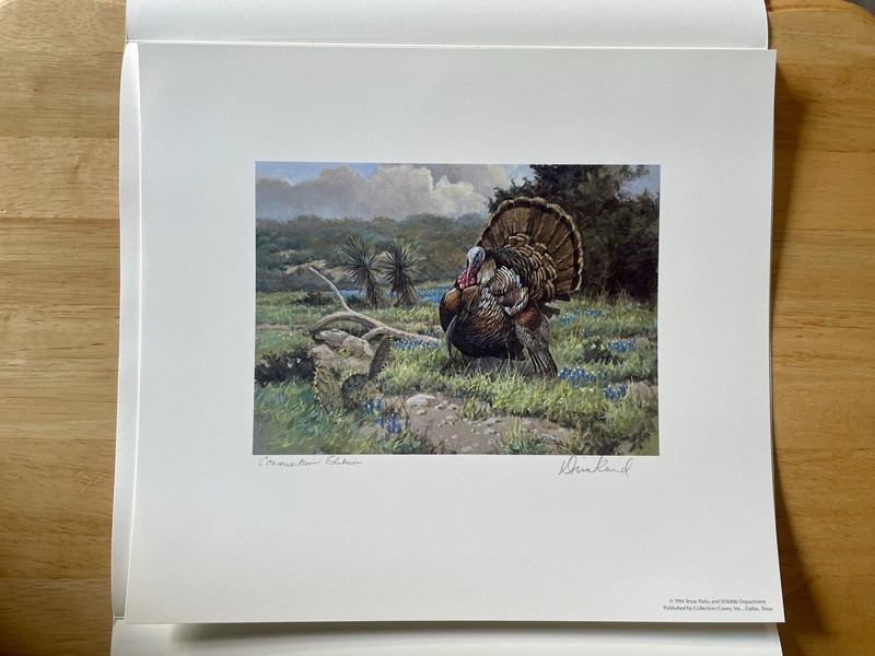 1994 Texas Turkey Stamp Print Conservation Edition Signed By David Drinkard