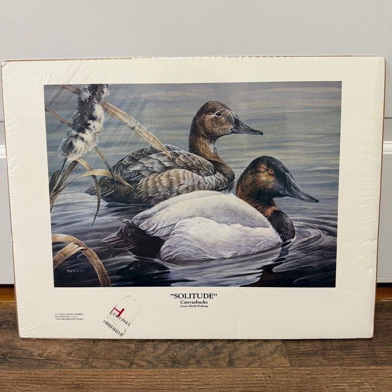 Laura Mark-Finberg Solitude Canvasbacks Print 18×14 Ducks Waterfowl