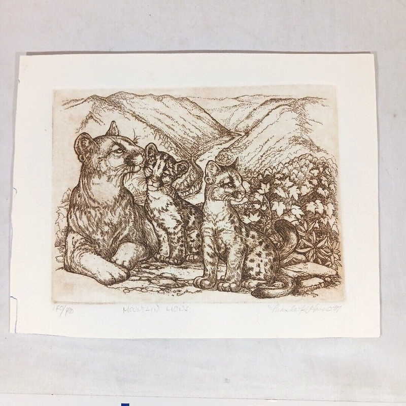 Marsha K Howe Etching Mountain Lion Cougar w/Kittens Signed Limited ed 140/400