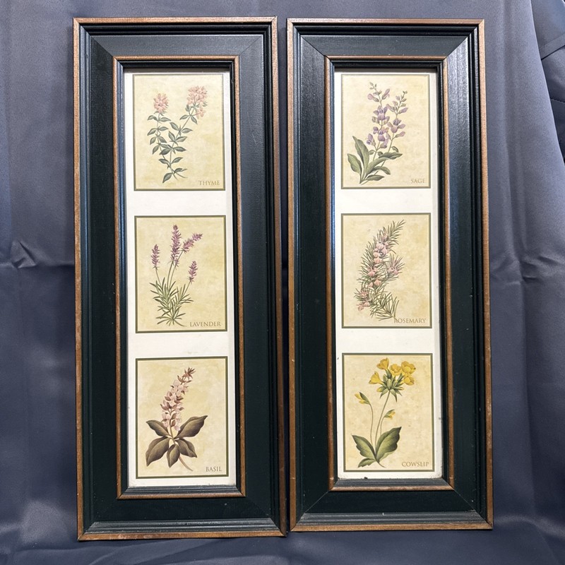 Set of (2) – Matching Green Framed – Triptych Herb Prints – 21” x 8 1/4”