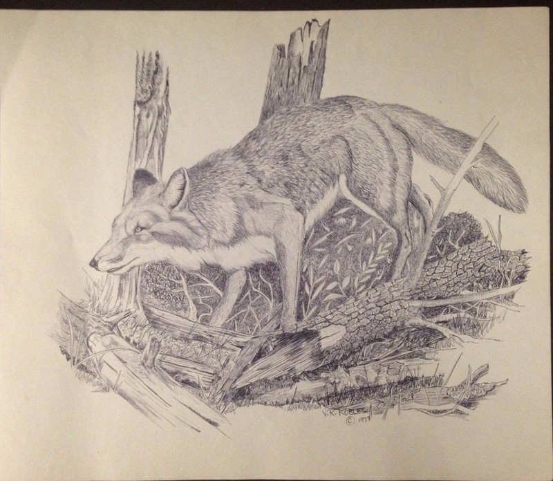 Wolf By Vince Robles original black and white ink drawing for sale