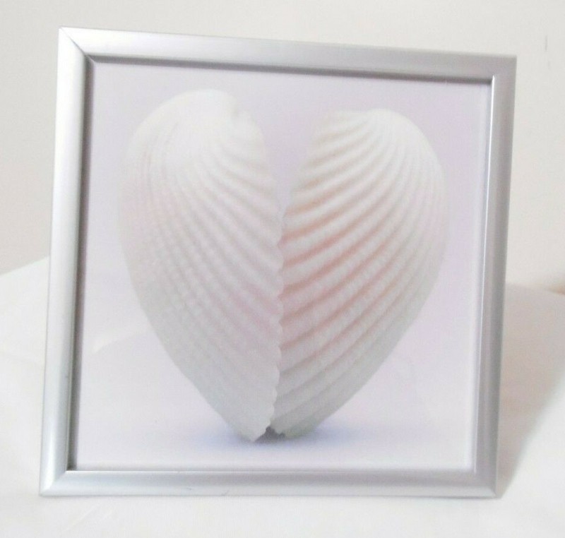 HEART of Leaves, of Shells, of Flowers 3 Small Prints 5.375" Silver Metal Framed gallery