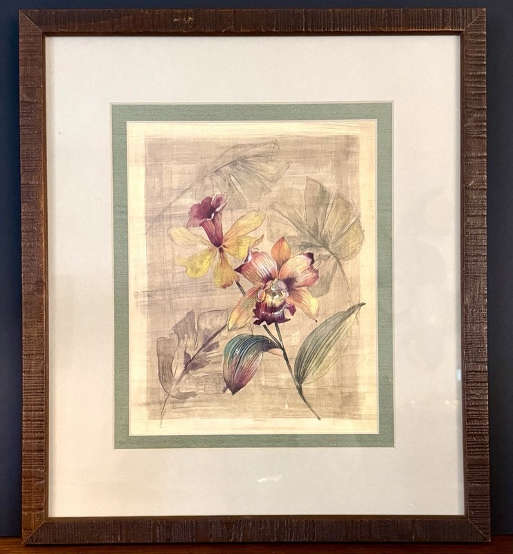 Framed Floral Art Print “Bahama Breeze” Paul Hargittai 14×16 Tropical Orchid
