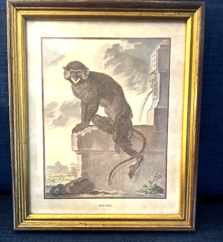 Jacques Eustache de Seve Monkey Etching Print Moustac Custom Frame Rich Elegant