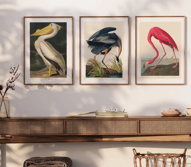 John Audubon:, Flamingo, Heron, Pelican, Vintage Bird Fine Art Prints, Size A3.