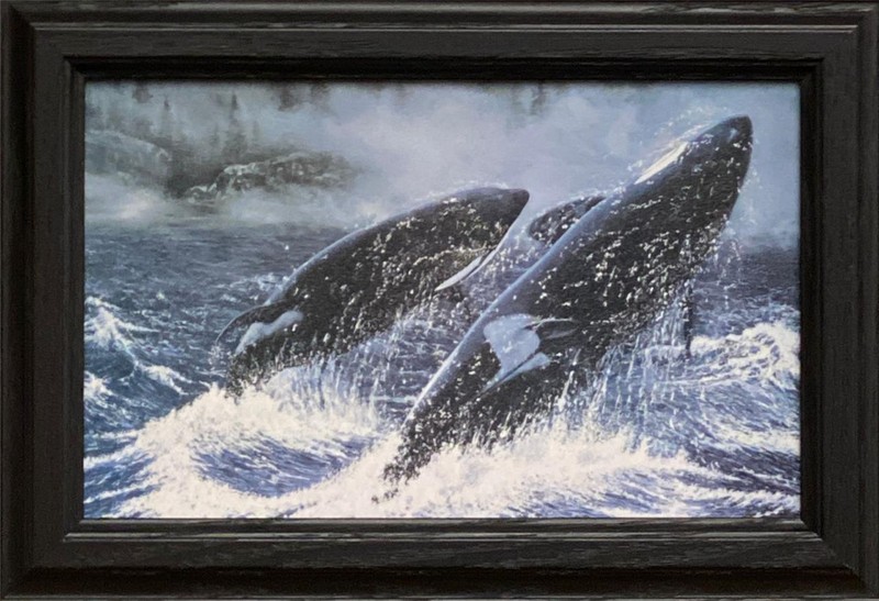 Ray Whitson Just from the Joy of it Orca-Framed 14.5 x 10