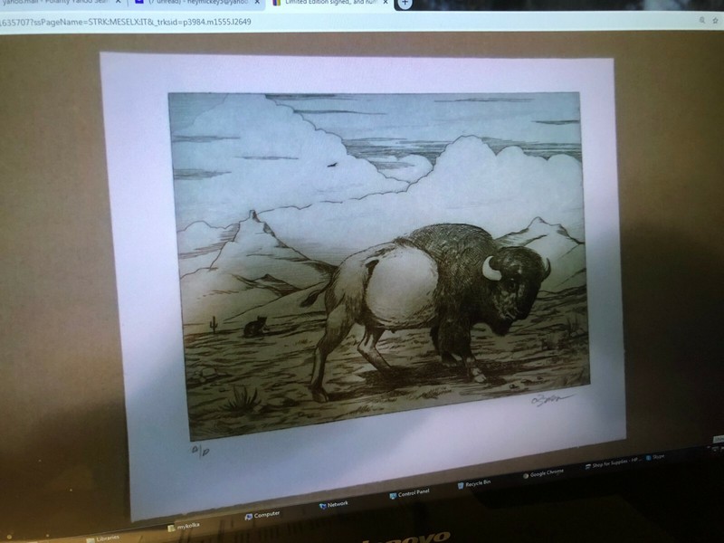 Limited Edition signed,, and numbered Print-Litho "BUFFALO?" A/P /100, O'BRIEN gallery