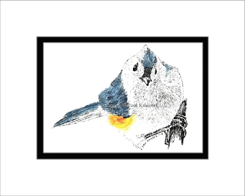Titmouse, Note Card, Pen and Ink, Matted