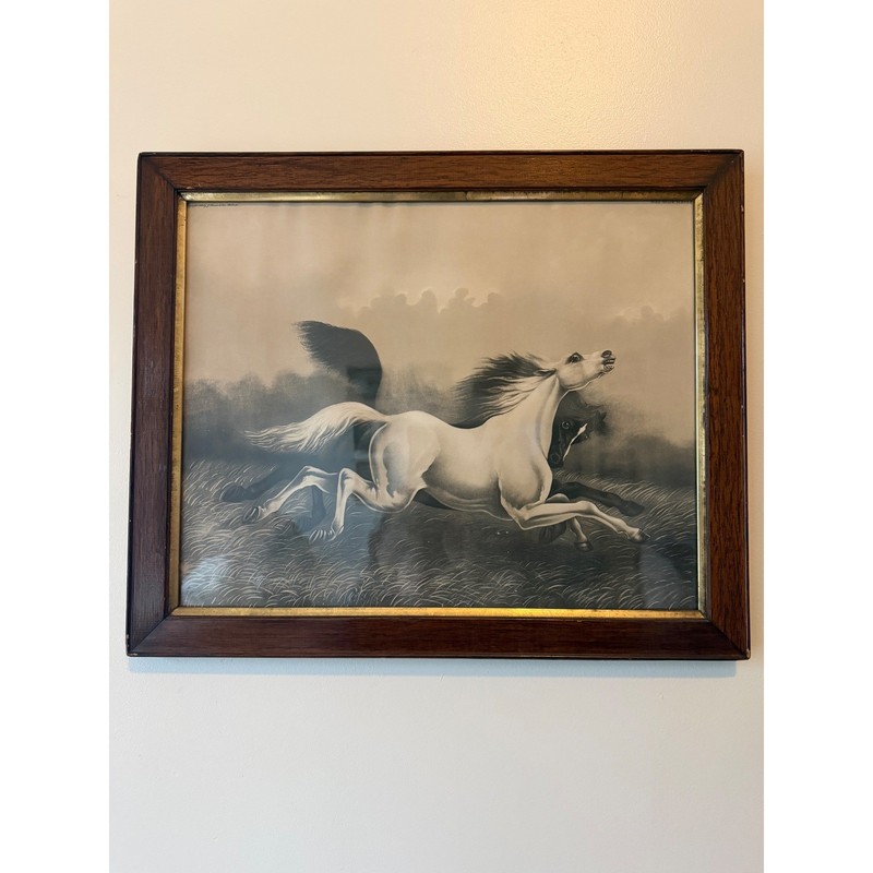 Wild Horse Framed Lithograph 1901 J. Hoover and Sons No.1 Black White Vintage