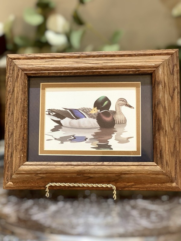 Vintage Mallard Duck Print Wood Framed under Glass