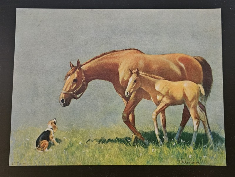 C W Anderson Print Hello Neighbor Mother Horse Foal Dog 9×12 Litho Print 16958