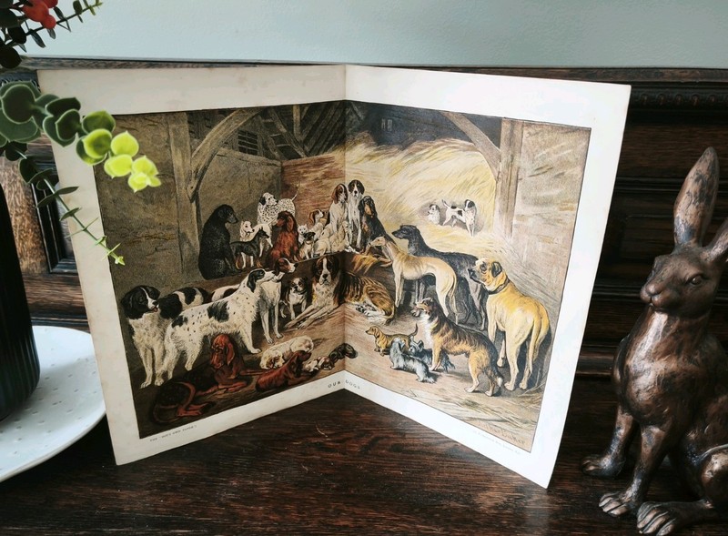 Antique 1883 Victorian Era Pet Dog Breeds Book Print Picture Pets Dogs Breed Art gallery
