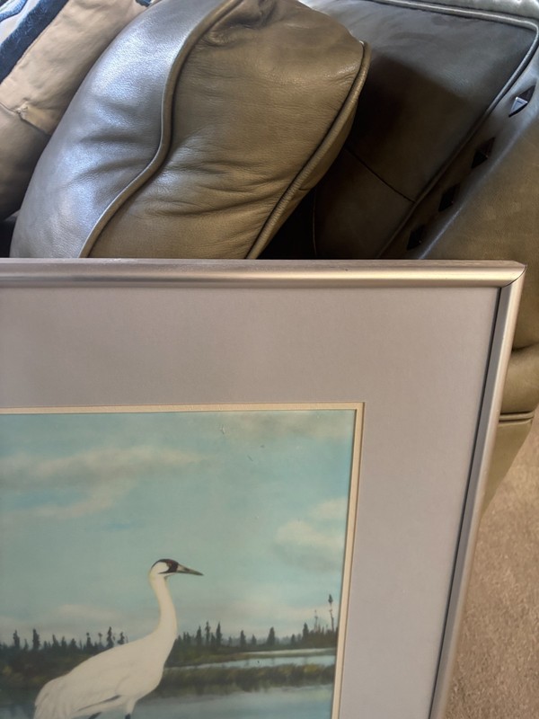 Fred Lahrman Whooping Cranes @ Wood Buffalo Park, Canada print gallery