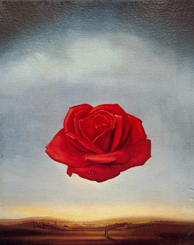 SALVADOR DALI RED ROSE IN SKY CANVAS TRANFER REAL PAINTING LOOK PRINT 12″ X 15″