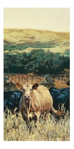 Bonnie Mohr Golden Girl – Golden Beef Cow Giclee on Paper