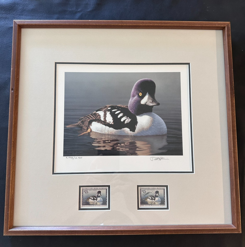 1998 ROBERT STEINER BARROWS GOLDENEYE DOUBLE DUCK STAMPS & PRINT SIGNED L.E. #11