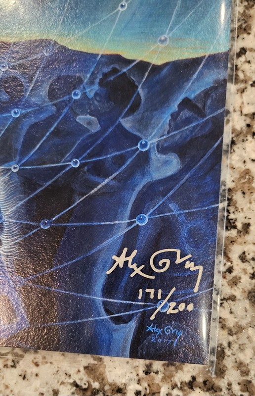 Alex Grey Eclipse Art Print Signed 171/200 Metallic Pearlescent w/COA TOOL gallery