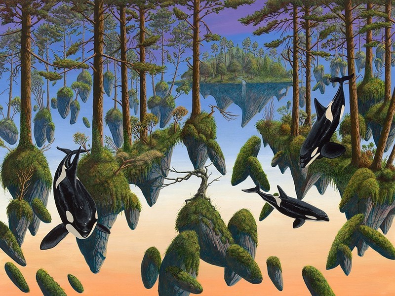 Orca Skyland 8.5 X 11 Original Michael Moss fine art print, signed by the artist