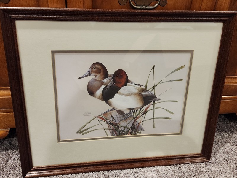 Vintage Framed Canvasback Ducks Print
