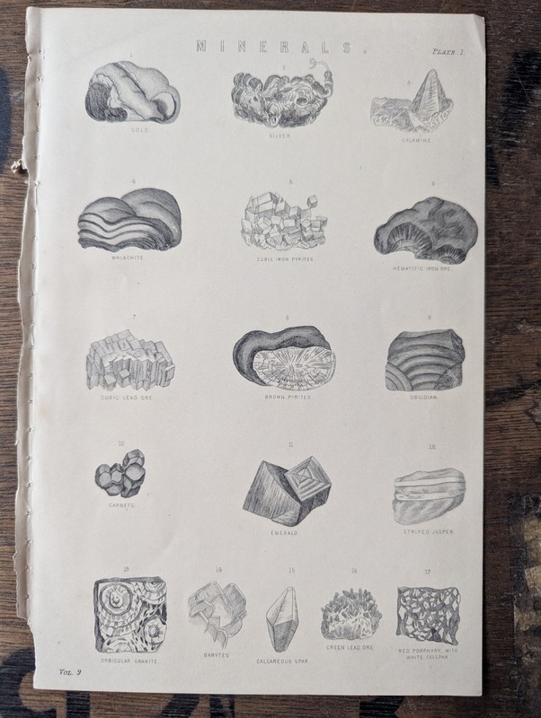 Antique Natural History Prints Conchology Shells Geology Fossil Mineral Art Lot gallery