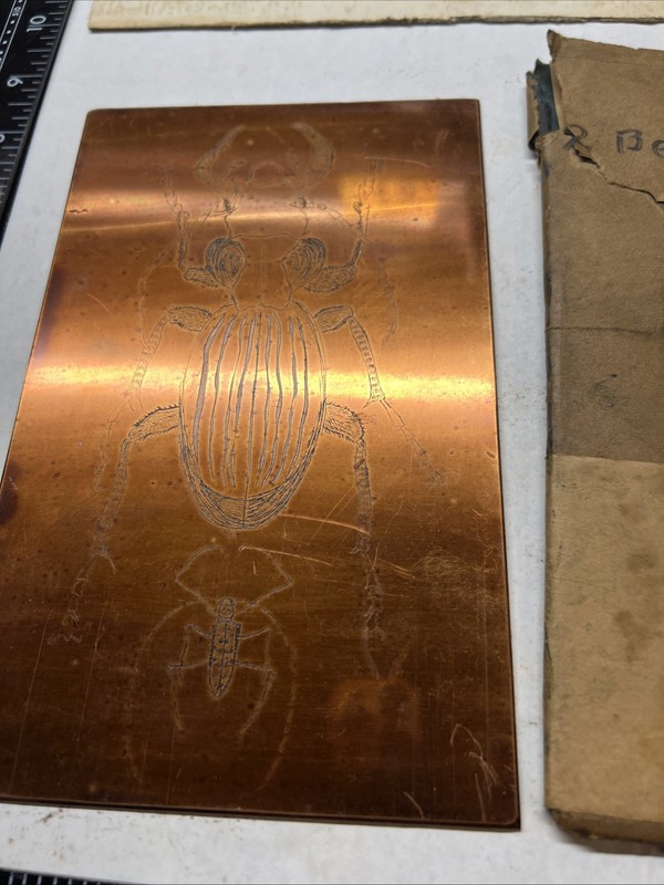 94 Art Etching ENGRAVING COPPER PLATE PAPER B SOLOTAIR 2 Beetles Bugs Etched Old gallery