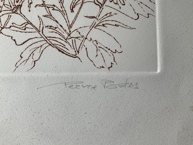 PEARCE BATES DAISIES TWO COLOR WOODCUT PRINT SIGNED NUMBERED NEAR MINT gallery