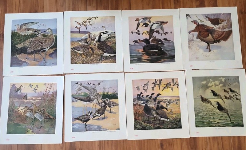 Portfolio of Game Bird Prints by Lynn Bogue Hunt (Complete Set of Eight)