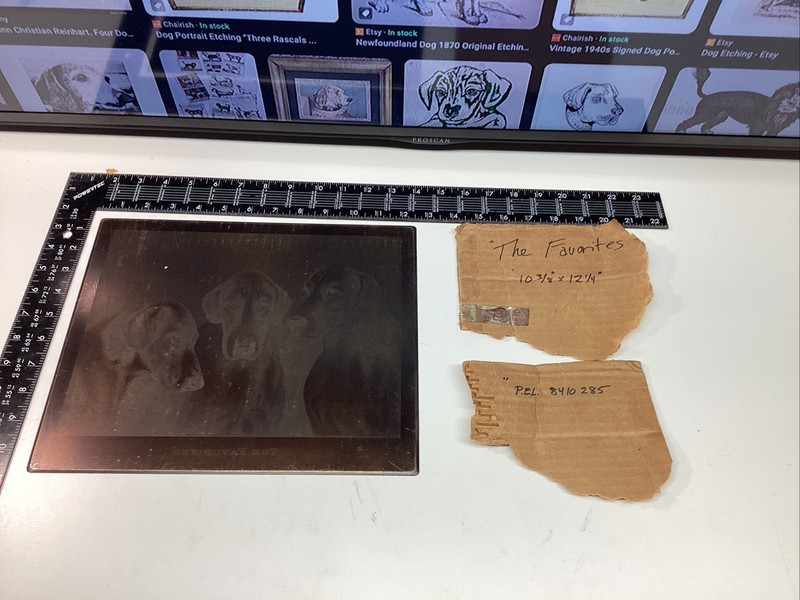 ART PAPER ETCHING PHOTO COPPER PLATE 3 DOGS THE FAVORITES RACE DOG FACES 1/1 Old